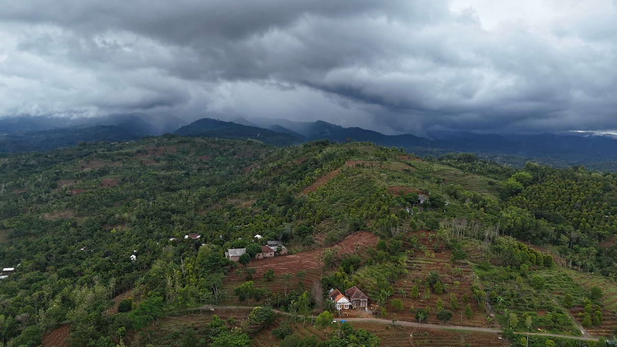 Kehidupan alam di Nggon.id