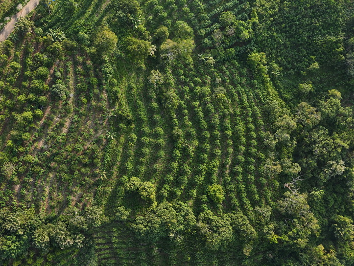 Natural farming