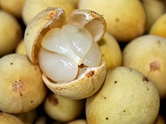 Duku