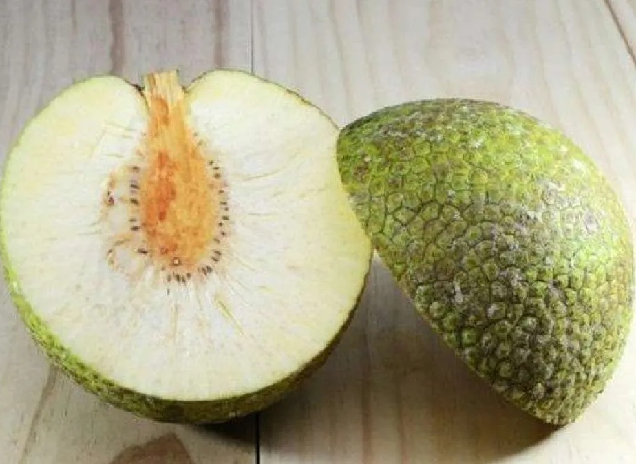 Sukun