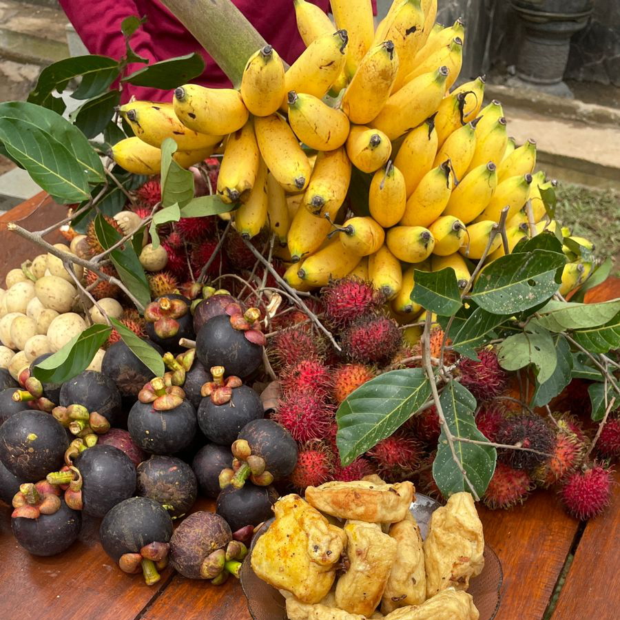 Petani Merawat Tanaman