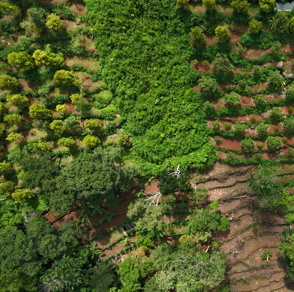 PerbukitanSejukKayahasilAlam