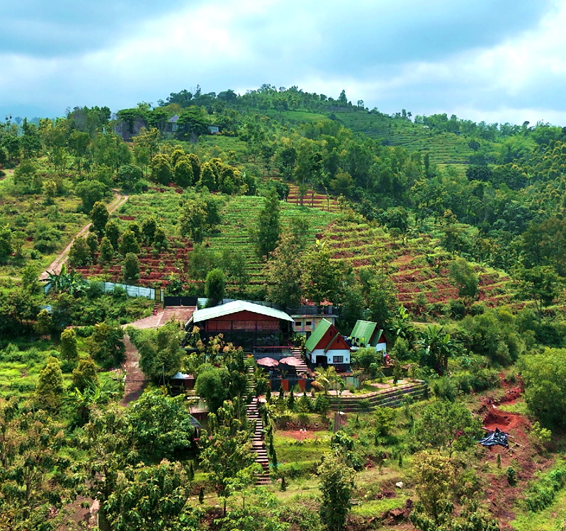 SejukDanDikelilingiHasilAlam